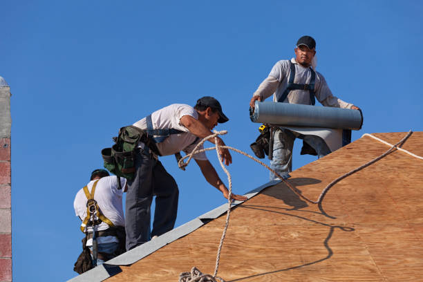 Best Roof Gutter Cleaning  in Richlandtown, PA